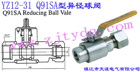 YZ12-31 Q91SA�ͮ������yYZ12-31 Q91SA Reducing Ball Valve